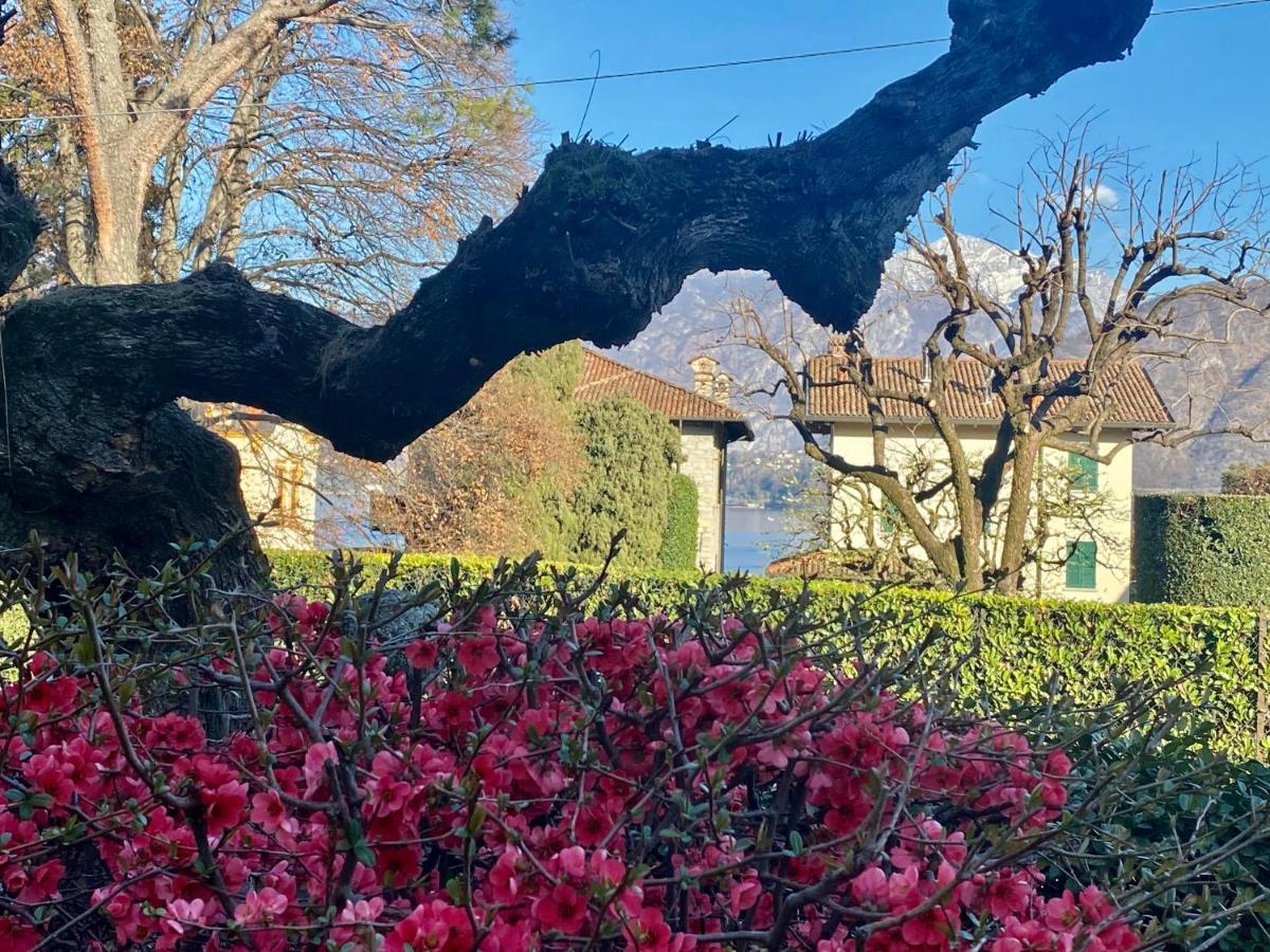 Villa Magnolia - Lake Como Lenno Exterior foto